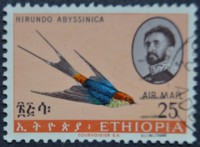 /album/galeria-de-fotos-etiopia/dsc-0006-jpg1/