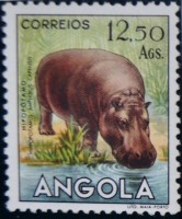 /album/galeria-de-fotos-angola/dsc-0007-jpg1/