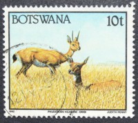 /album/galeria-de-fotos-botswana/dsc-0003-jpg2/