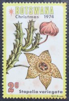 /album/galeria-de-fotos-botswana/dsc-0006-jpg3/