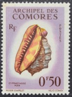 /album/galeria-de-fotos-comores/dsc-0024-jpg/