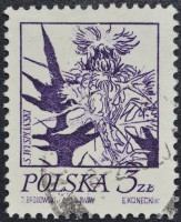/album/galeria-de-fotos-polonia/dsc-0008-jpg3/