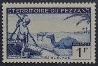 /album/galeria-de-fotos-fezzan/dsc-0015-jpg2/